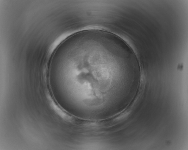 X0000111031054200906251300