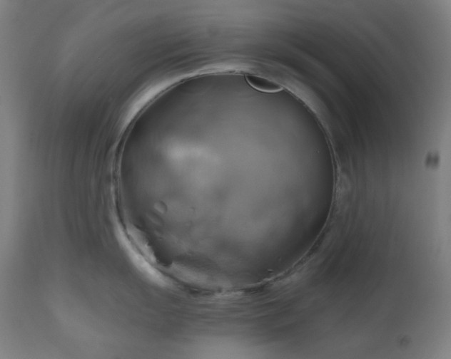 X0000111031055200906251300