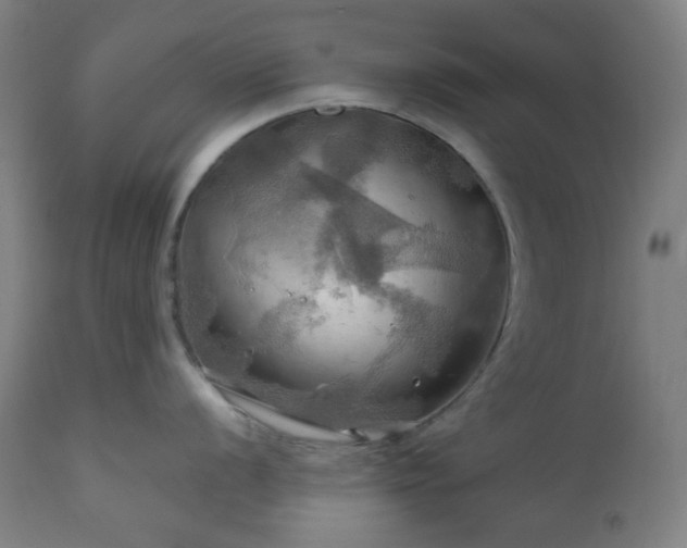 X0000111031056200906251300
