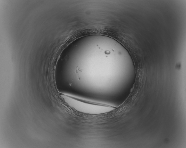 X0000111031057200906251300