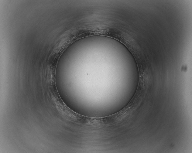 X0000111031058200906251300
