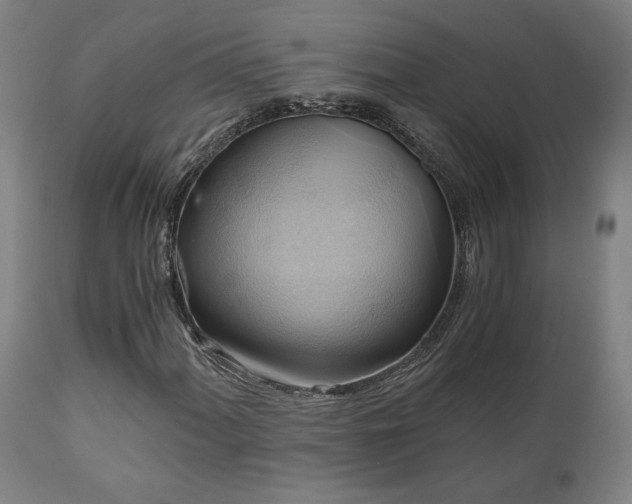 X0000111031060200906251300