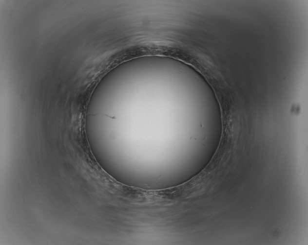 X0000111031061200906251300