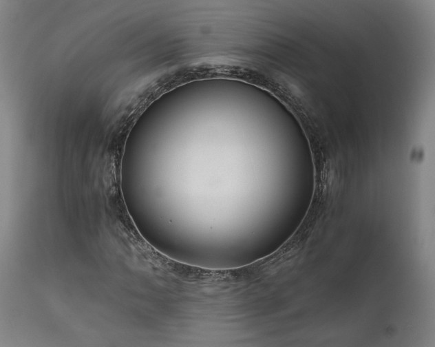 X0000111031062200906251300