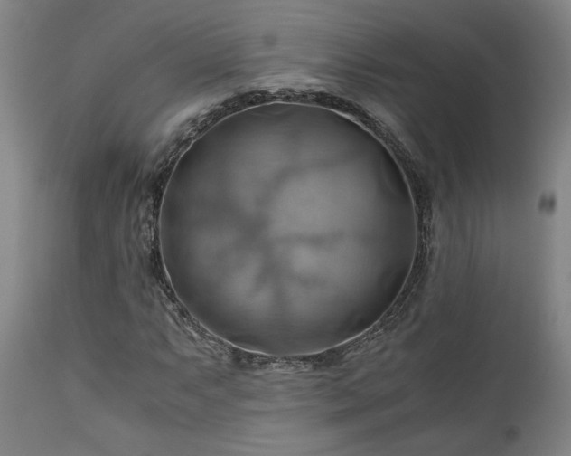 X0000111031063200906251300