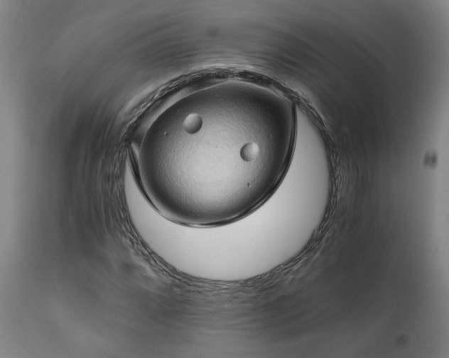 X0000111031064200906251300