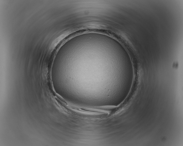 X0000111031065200906251300