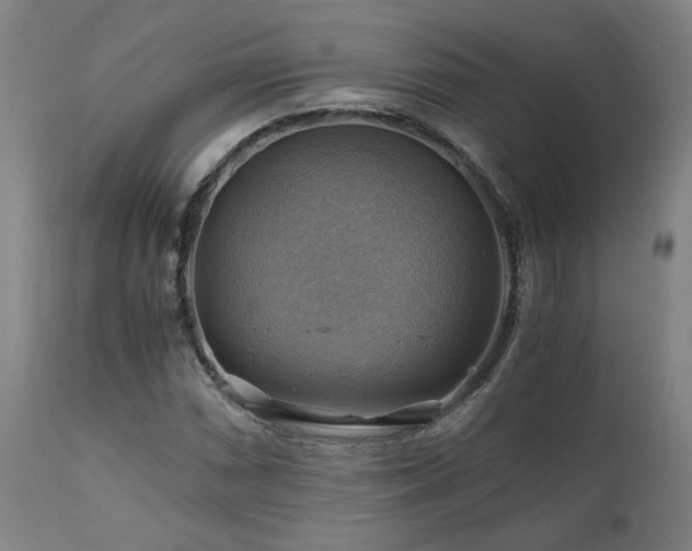X0000111031066200906251300