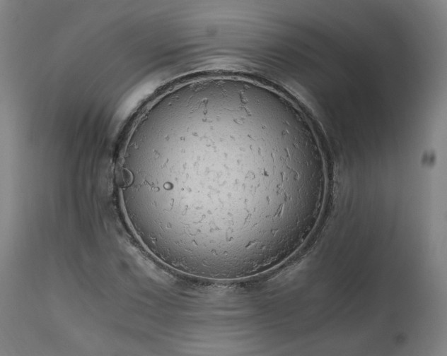 X0000111031067200906251300