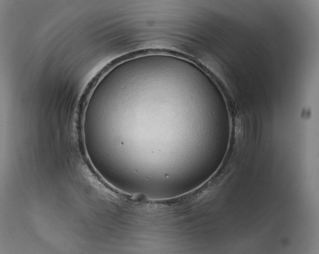 X0000111031068200906251259