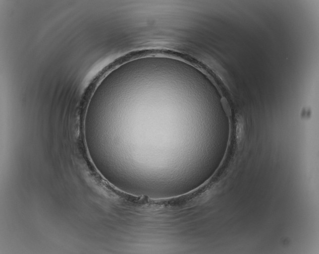 X0000111031069200906251259