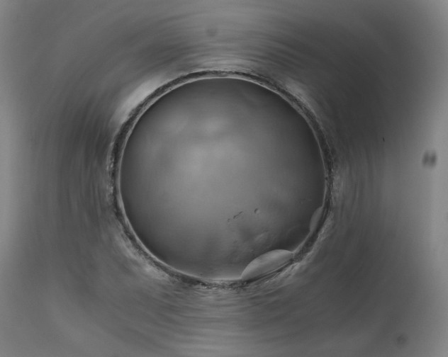 X0000111031071200906251259