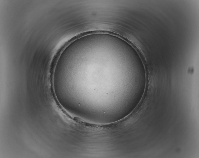 X0000111031072200906251259