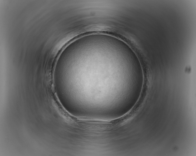 X0000111031073200906251259