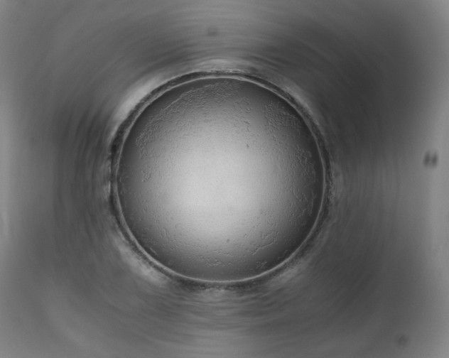 X0000111031075200906251259