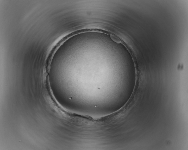 X0000111031076200906251259
