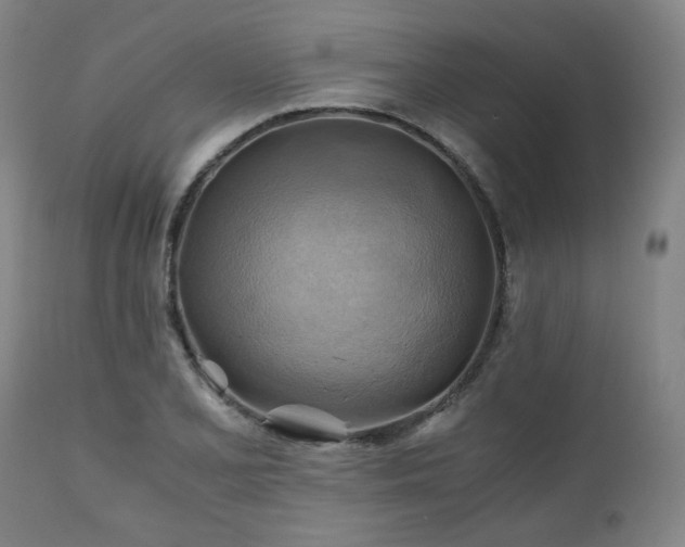 X0000111031077200906251259