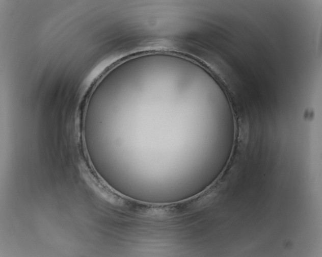 X0000111031078200906251259