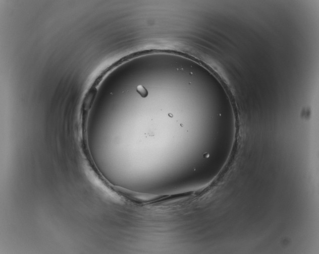 X0000111031080200906251259