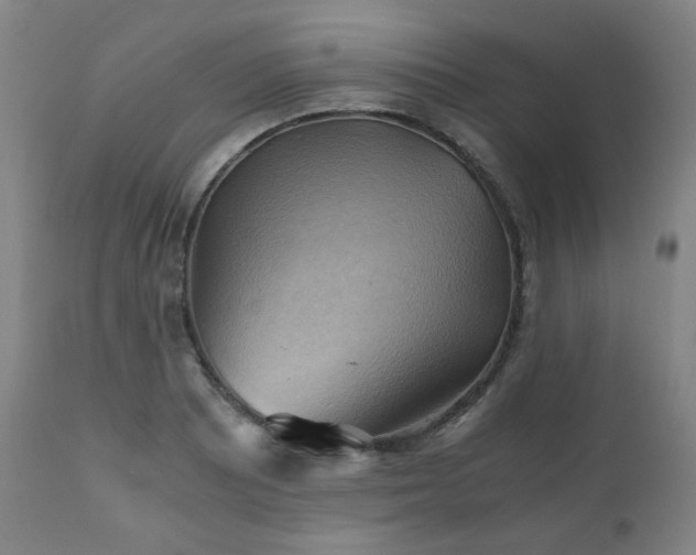 X0000111031081200906251259
