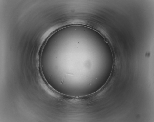 X0000111031082200906251259