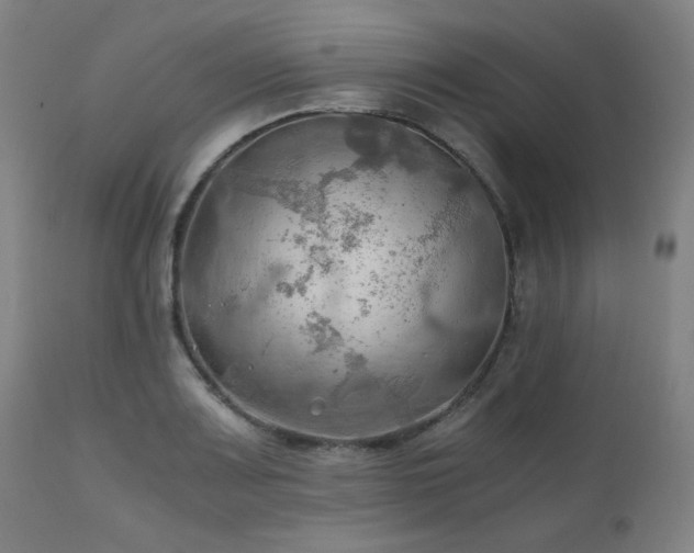 X0000111031083200906251259