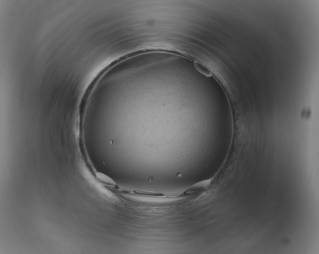 X0000111031084200906251259
