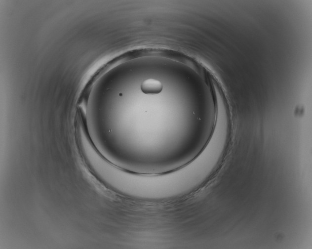 X0000111031085200906251259