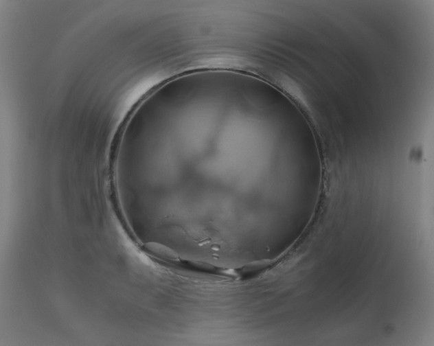 X0000111031087200906251259
