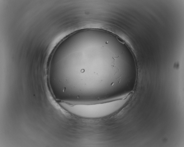 X0000111031088200906251259