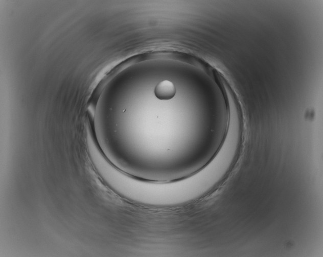 X0000111031089200906251259