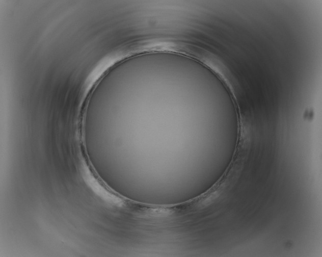 X0000111031090200906251259