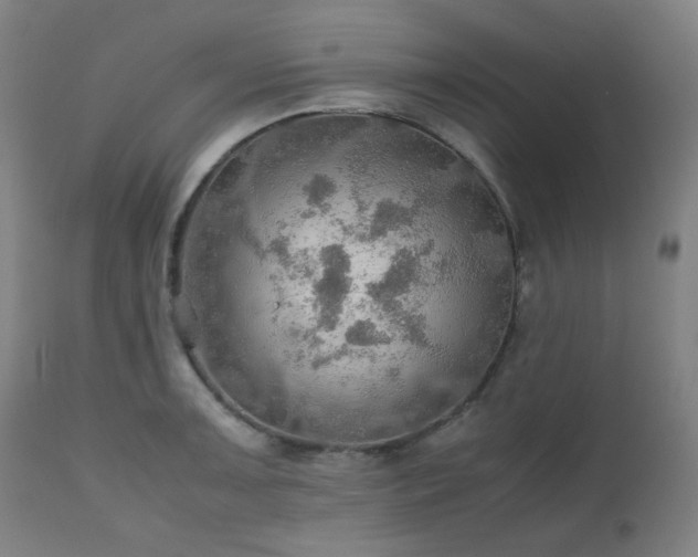 X0000111031091200906251259
