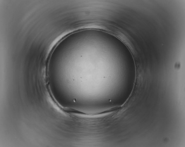 X0000111031092200906251259