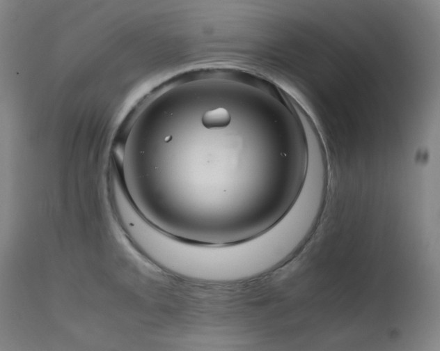X0000111031093200906251259