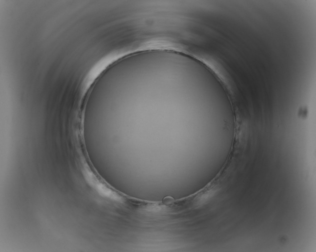 X0000111031094200906251259
