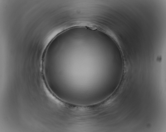 X0000111031095200906251259