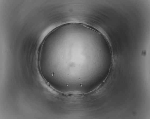 X0000111031096200906251259