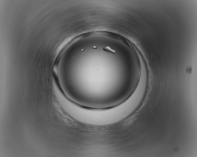 X0000111031097200906251259