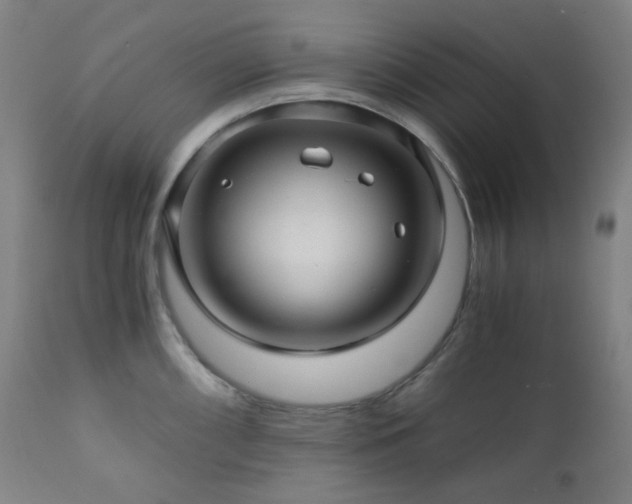 X0000111031098200906251259