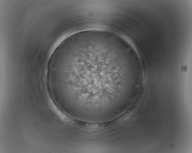 X0000111031099200906251259