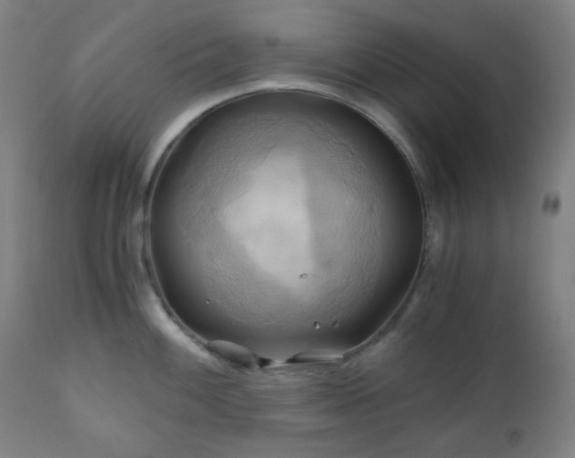 X0000111031100200906251259