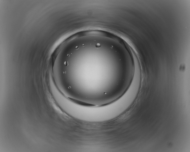 X0000111031101200906251259