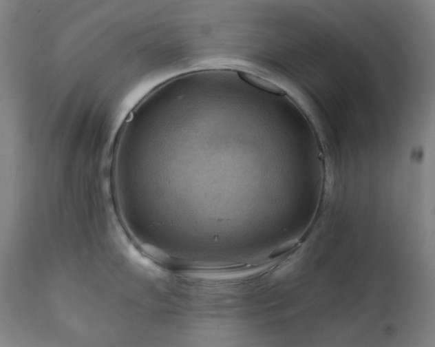 X0000111031102200906251259