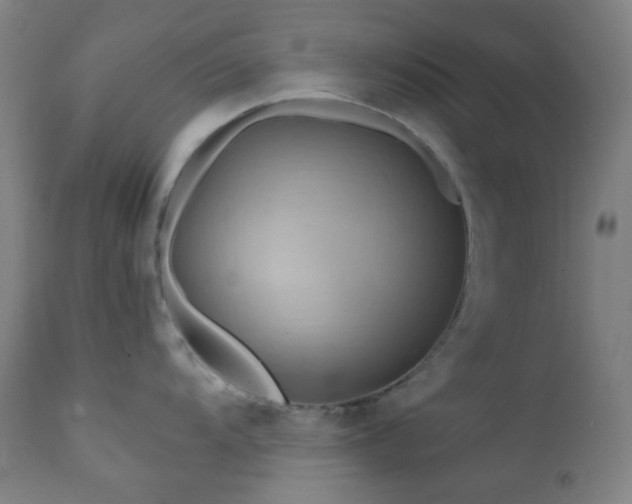 X0000111031104200906251259