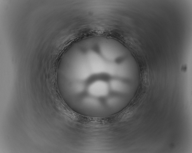 X0000111031105200906251258