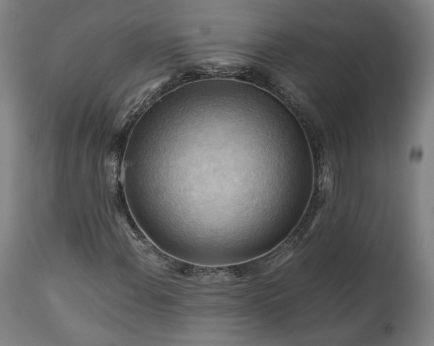 X0000111031108200906251258