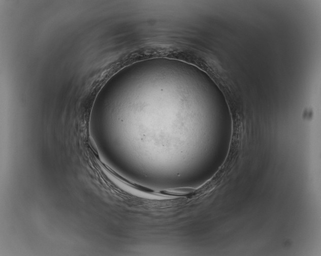 X0000111031109200906251258