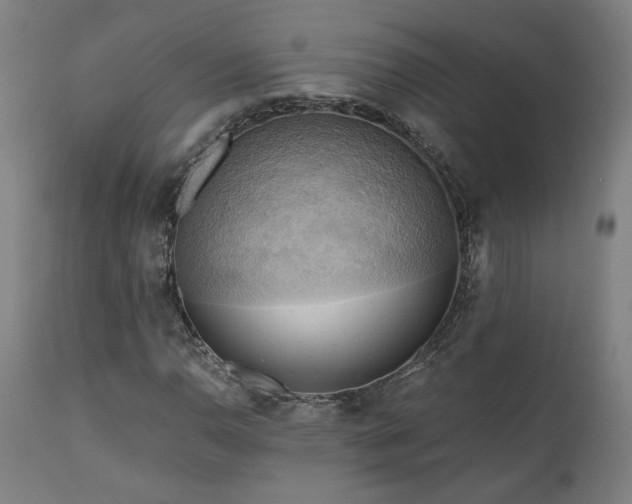 X0000111031110200906251258