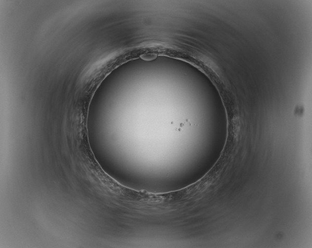 X0000111031111200906251258